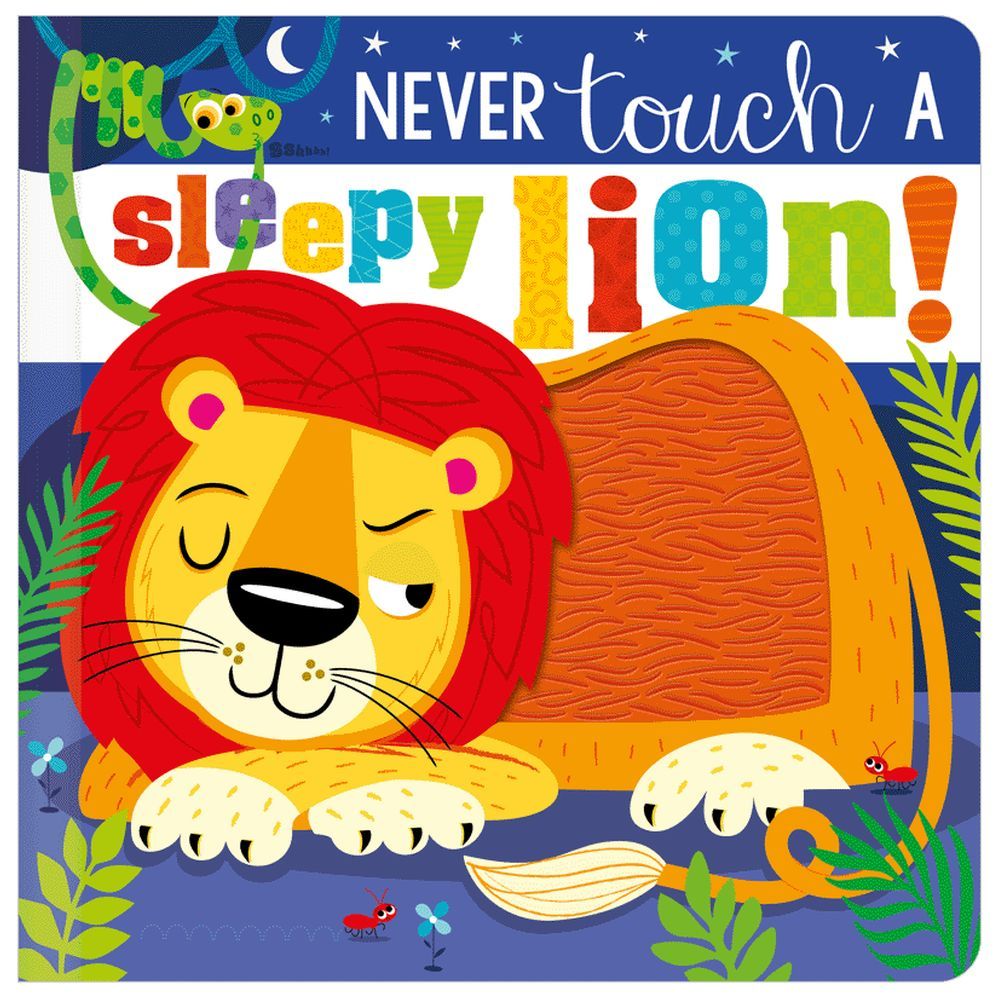 Never Touch a Sleepy Lion! Board Book