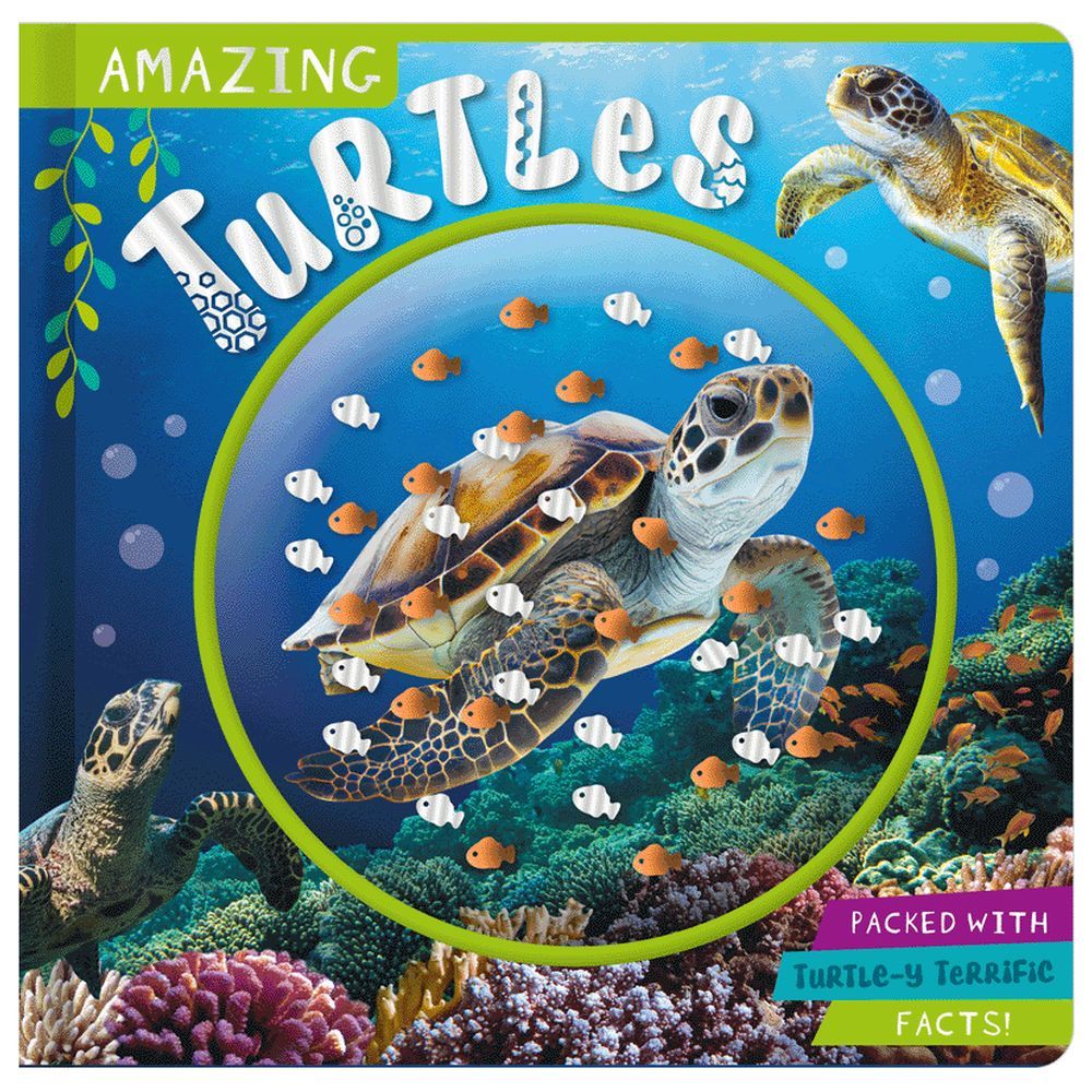 Amazing Turtles Board Book