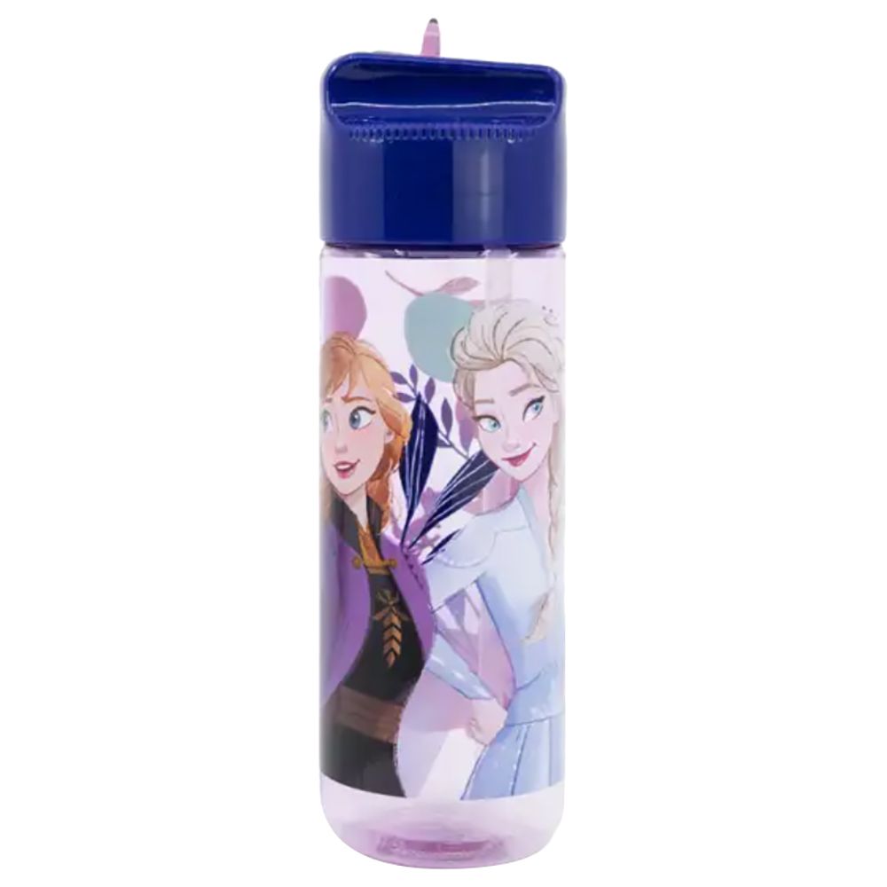 Disney - Large Ecozen Hydro Bottle - Frozen Trust The Journey - 540 ml