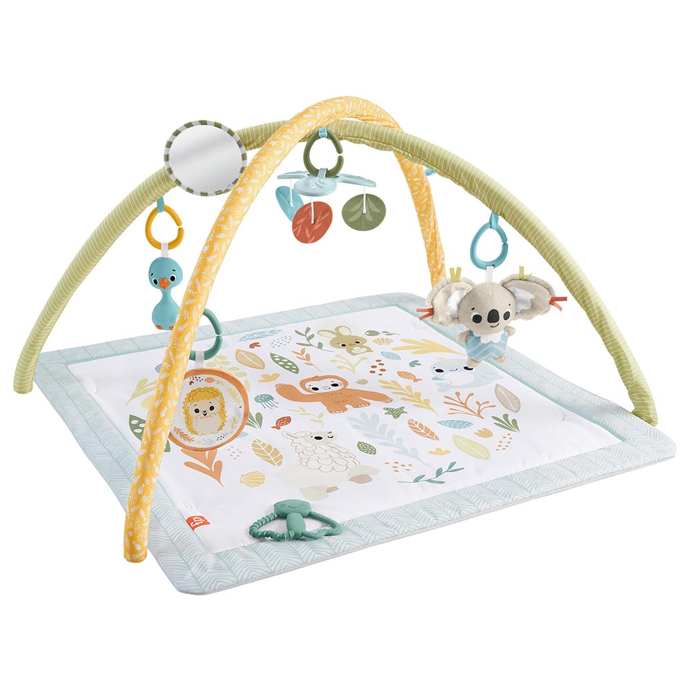 Fisher Price Newborn to Toddler Play Gym Buy at Best Price from Mumzworld
