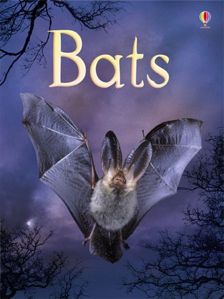 Usborne Books - Beginners: Bats