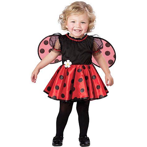 Little Ladybug Costume