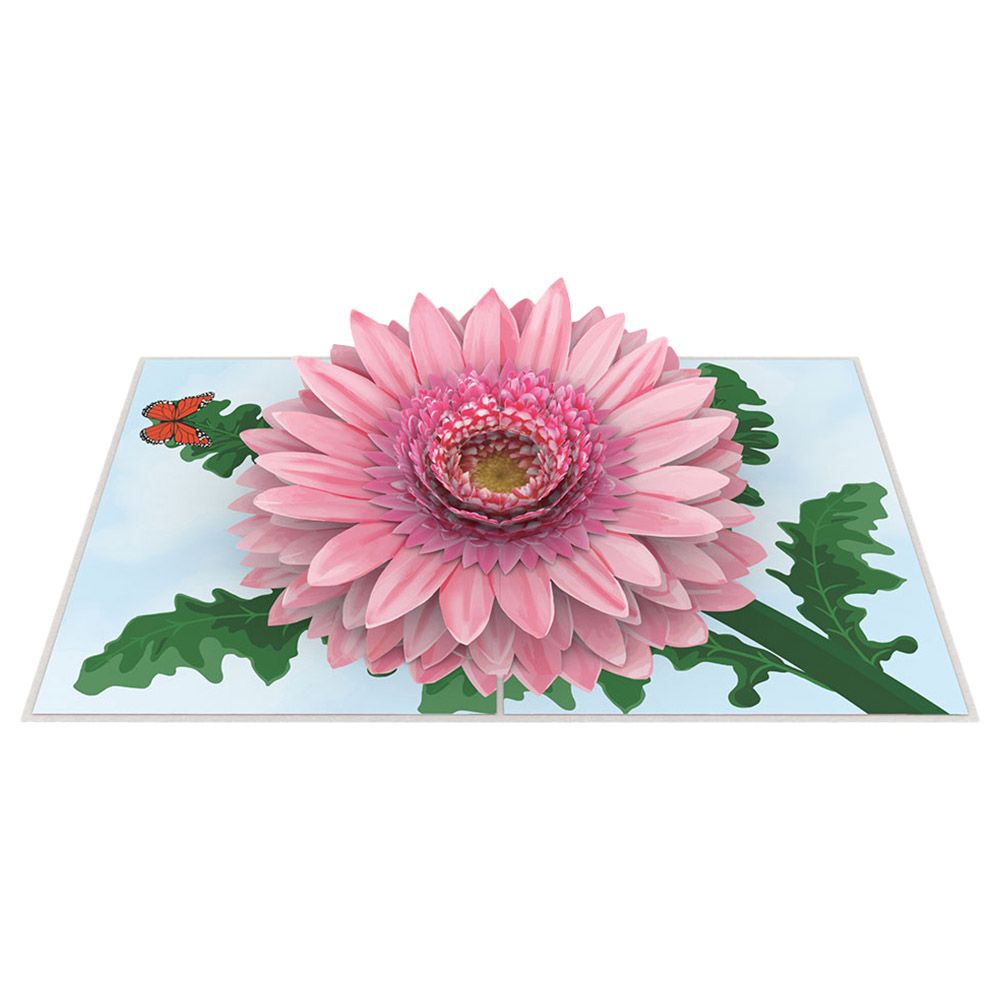 Paper Color - Daisies Flower Pop Up Birthday Greeting Card