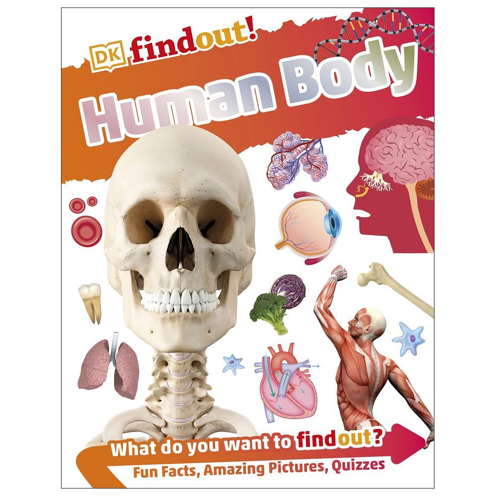 Human Body