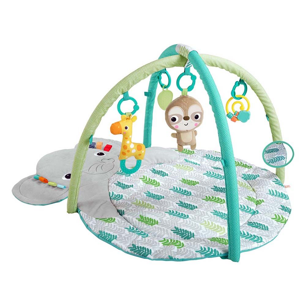 Bright Starts - Hug 'N Cuddle Activity Gym