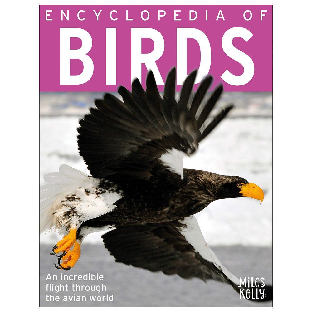 Encyclopedia Of Birds