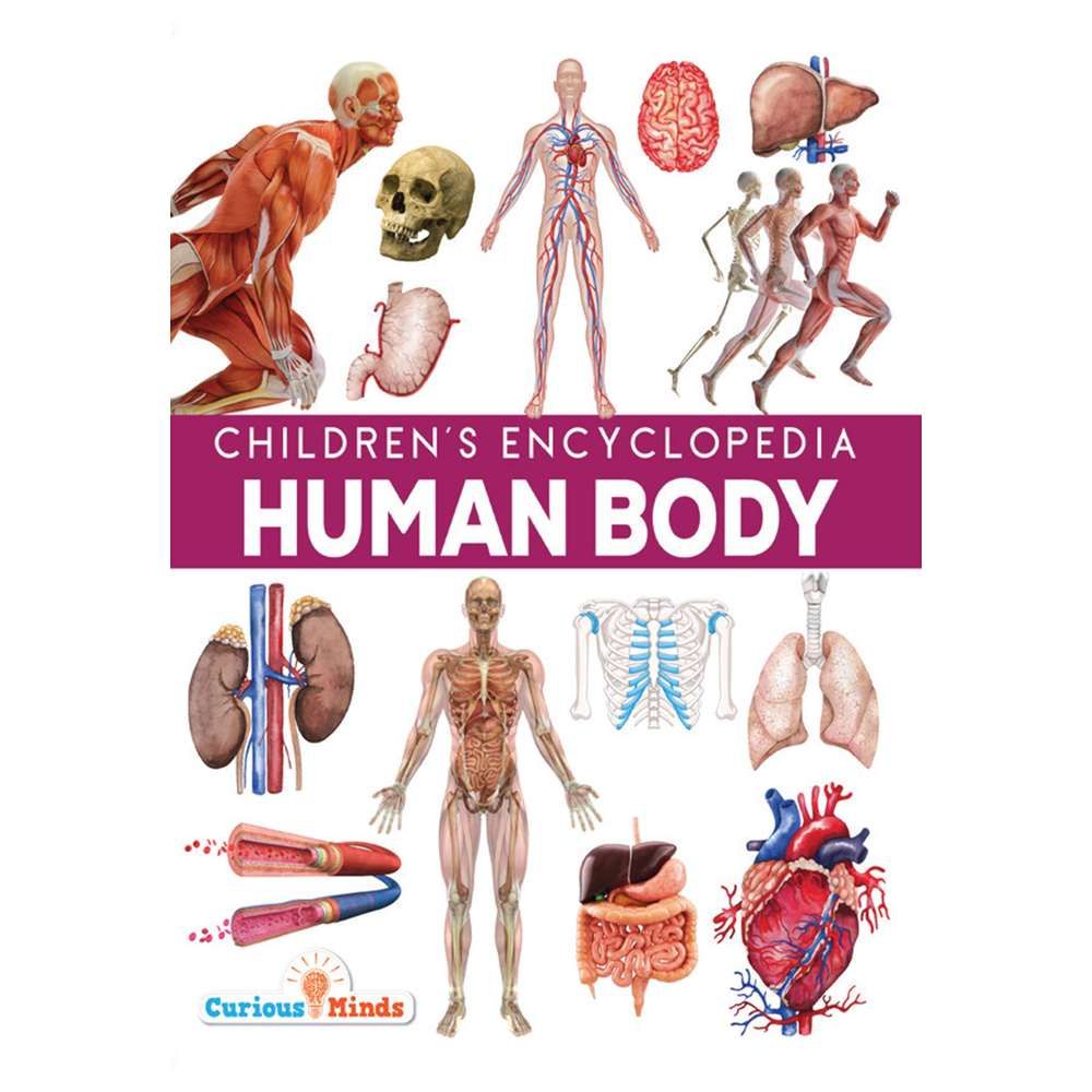 Children's Encyclopedia Human Body