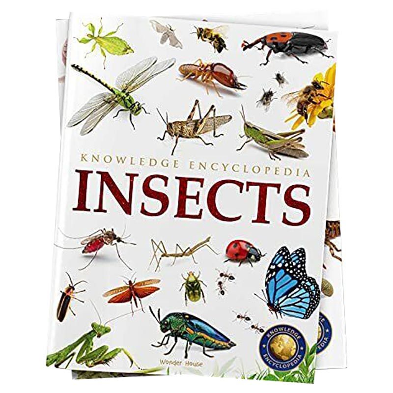 Animals Insects Knowledge Encyclopedia 