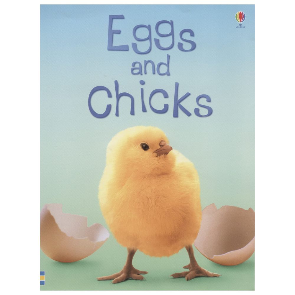 Eggs and Chicks