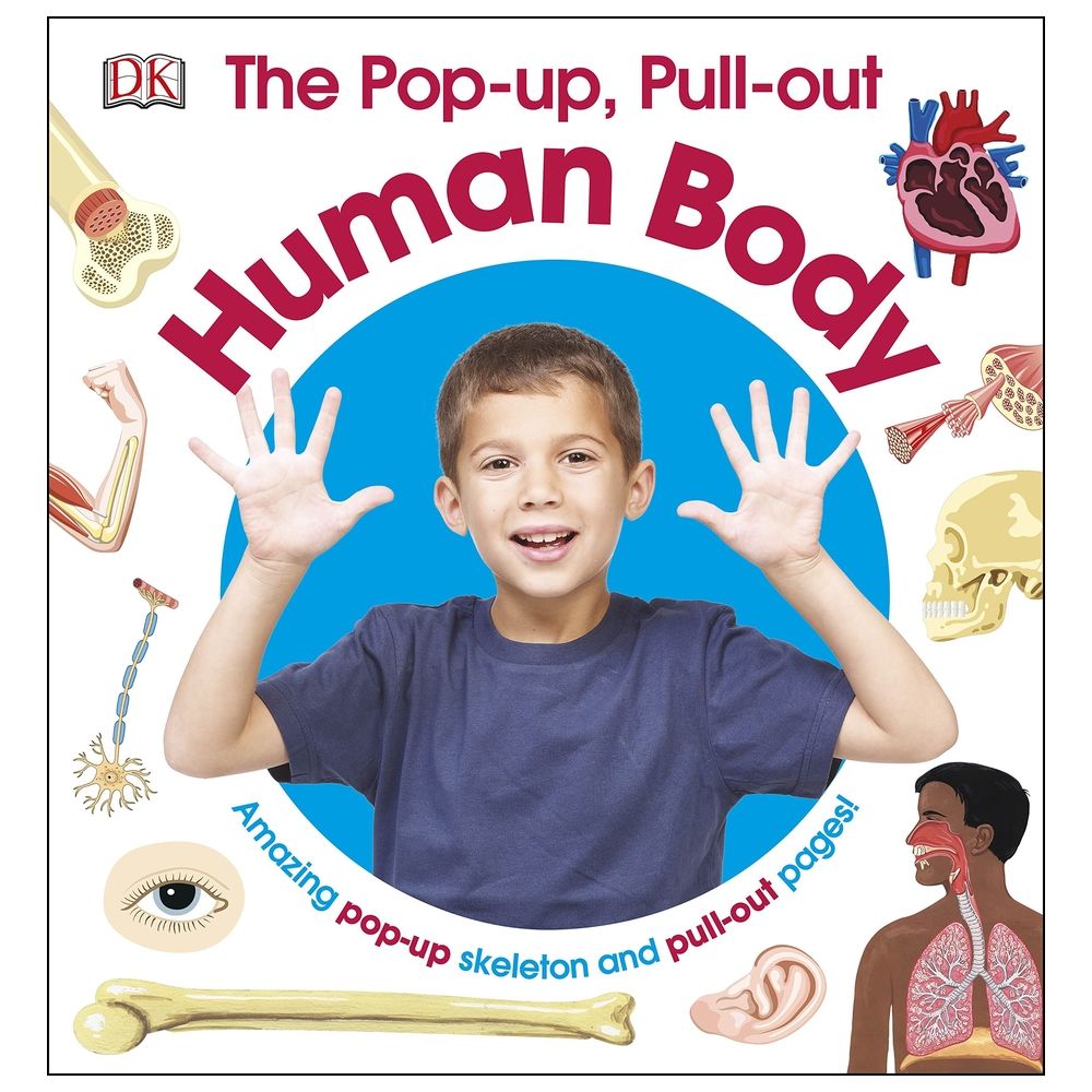 The Pop-Up, Pull Out Human Body