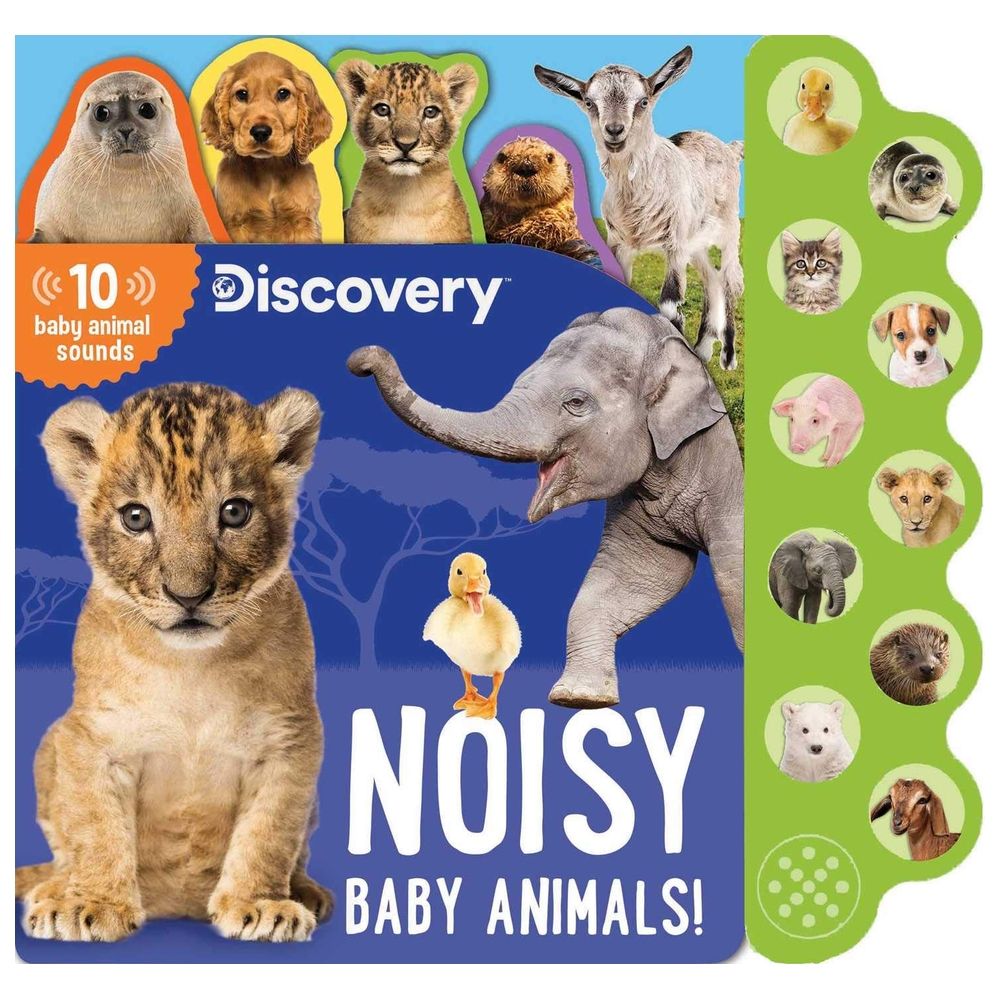 Discovery: Noisy Baby Animals!