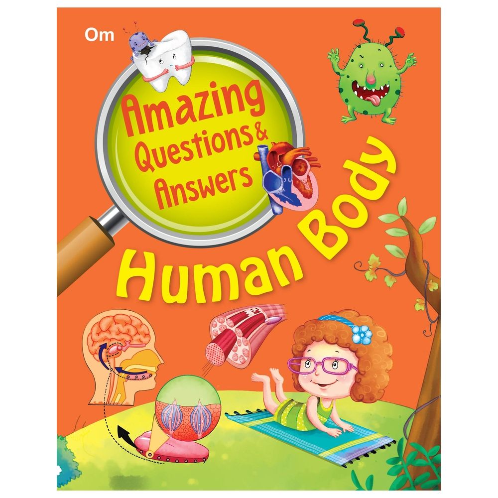 Amazing Questions & Answers Human Body