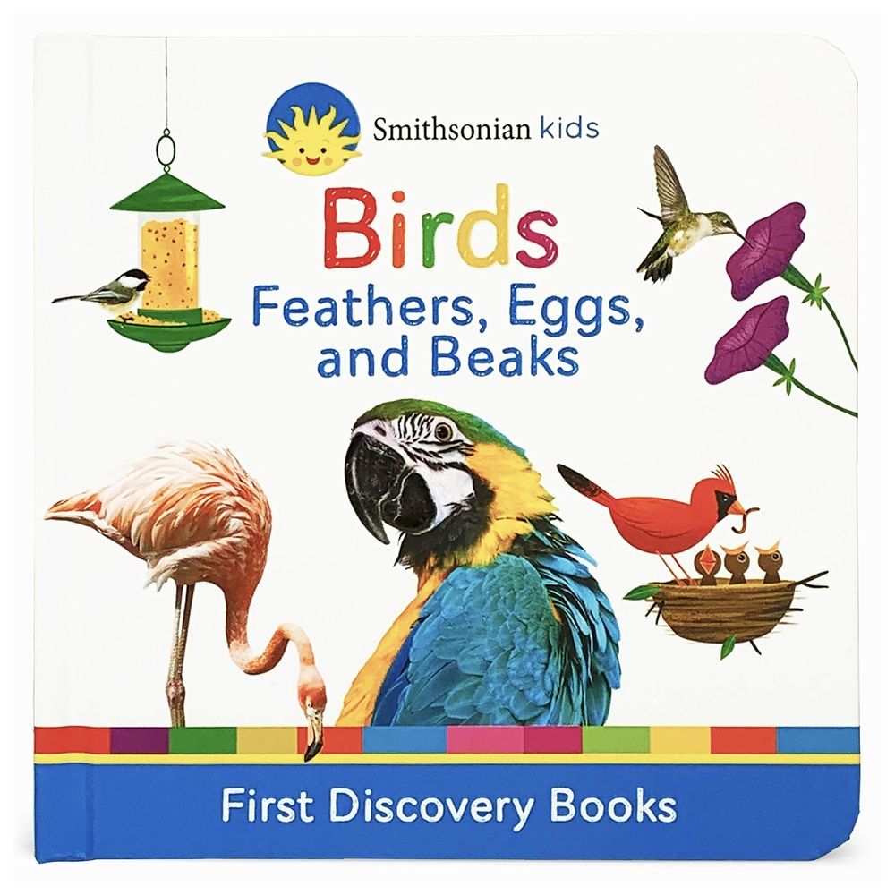 Birds: Feathers, Eggs, And Beaks