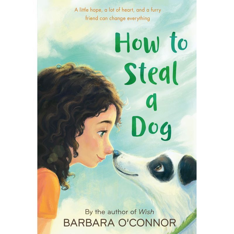 How To Steal A Dog