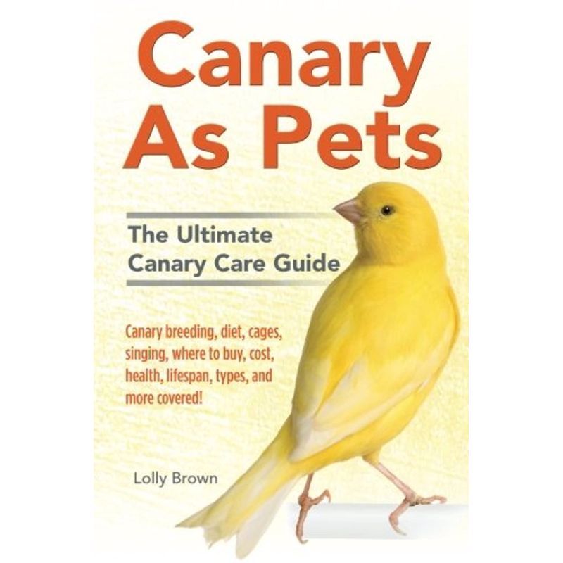 Canary As Pets