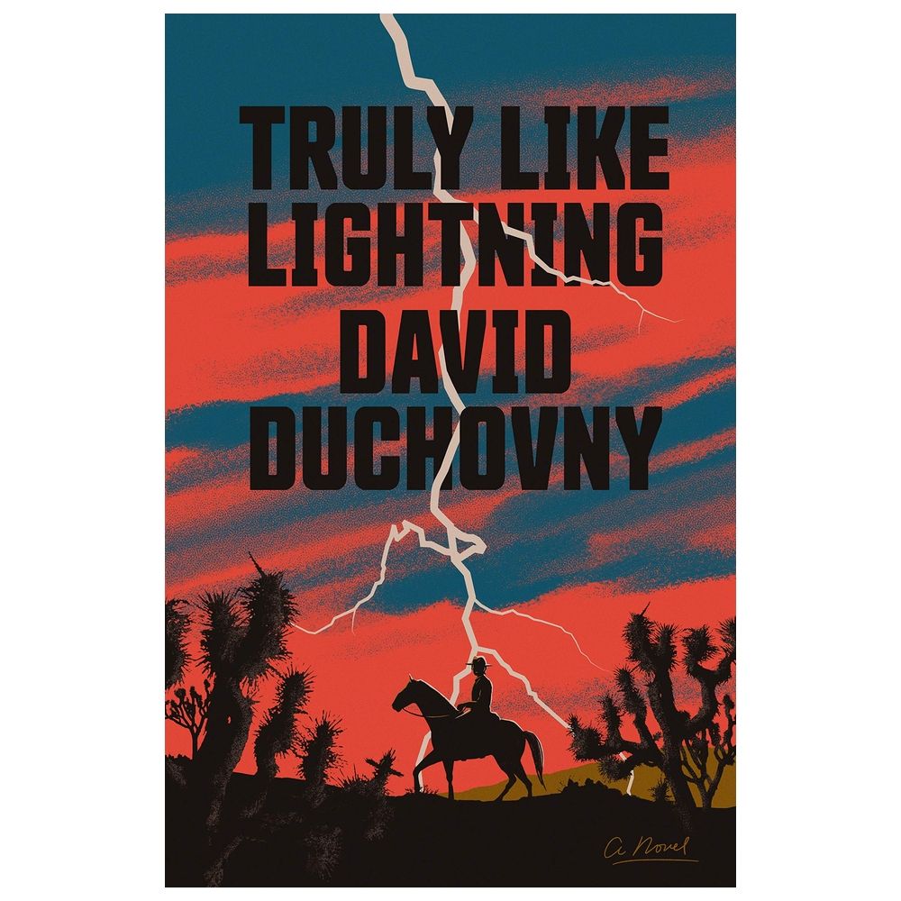 Truly Like Lightning: A Novel