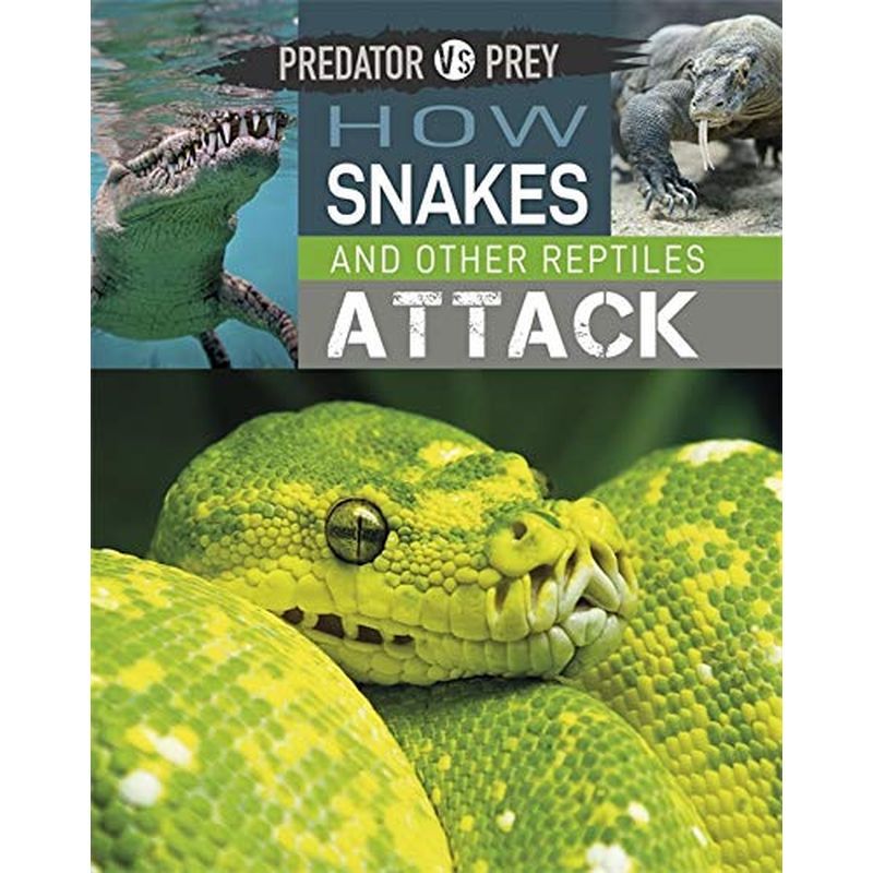 How Snakes And Other Reptiles Attack