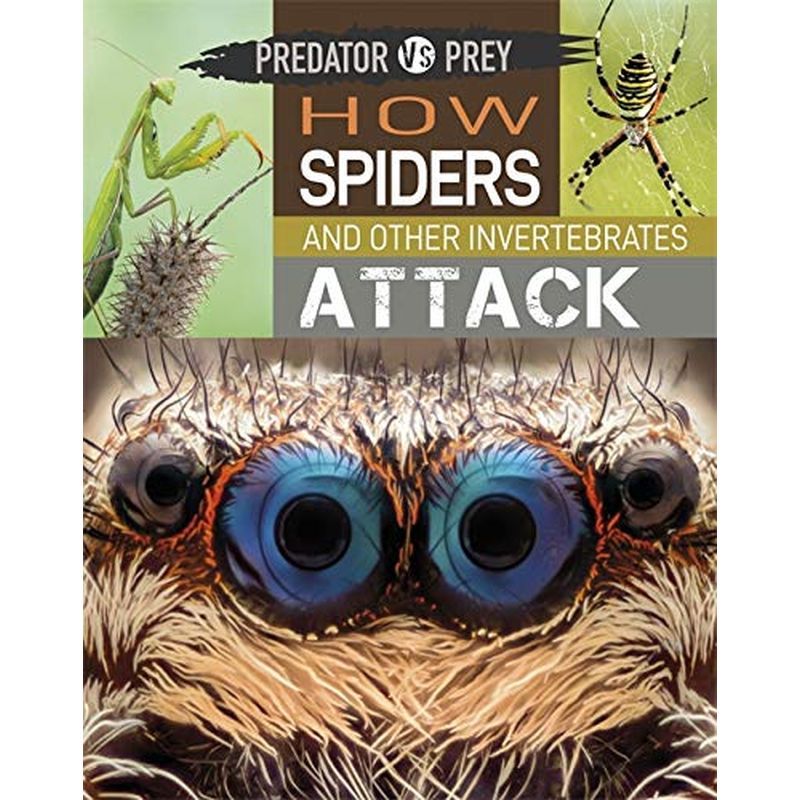 How Spiders And Other Invertebrates Attack