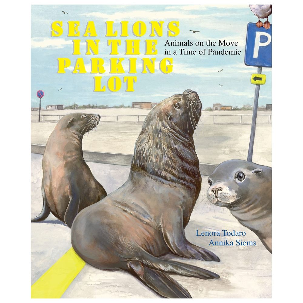 Sea Lions In The Parking Lot: Animals On The Move In A Time Of Pandemic