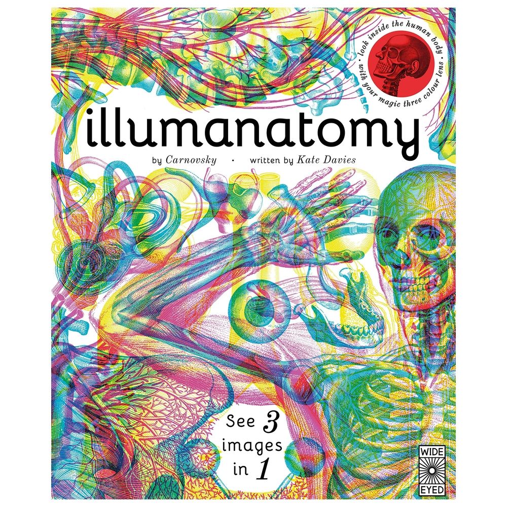 Illumanatomy