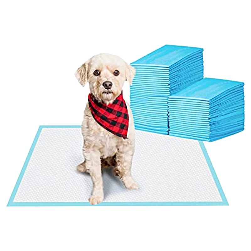 Cherry Medical Supply - Pet Training Pads - 75pcs - Large