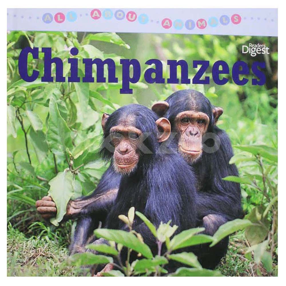 All About Animals - Chimpanzees