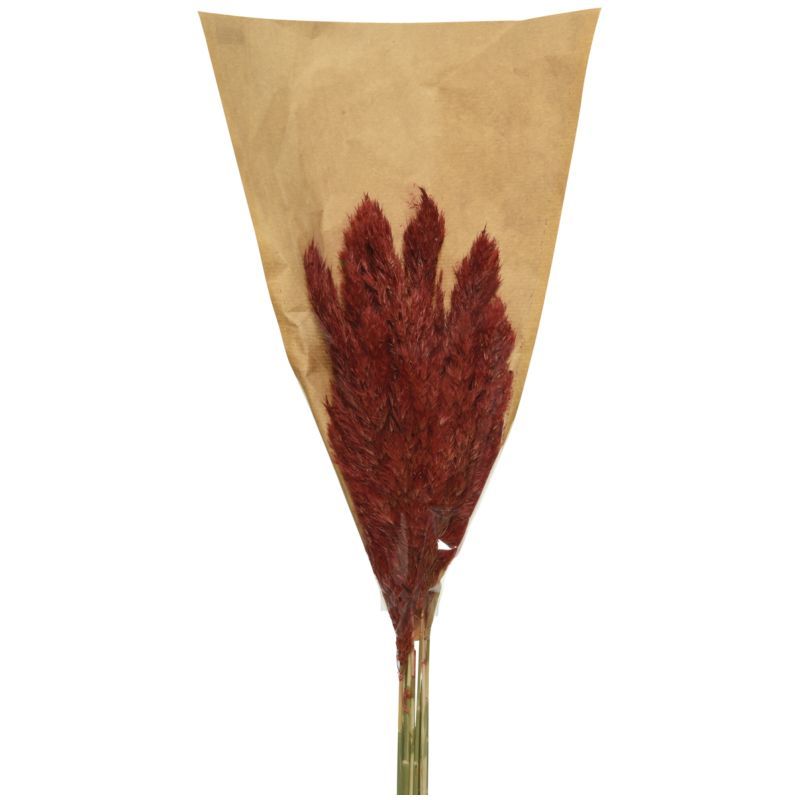 Homesmiths - Christmas Plume - Natural Red