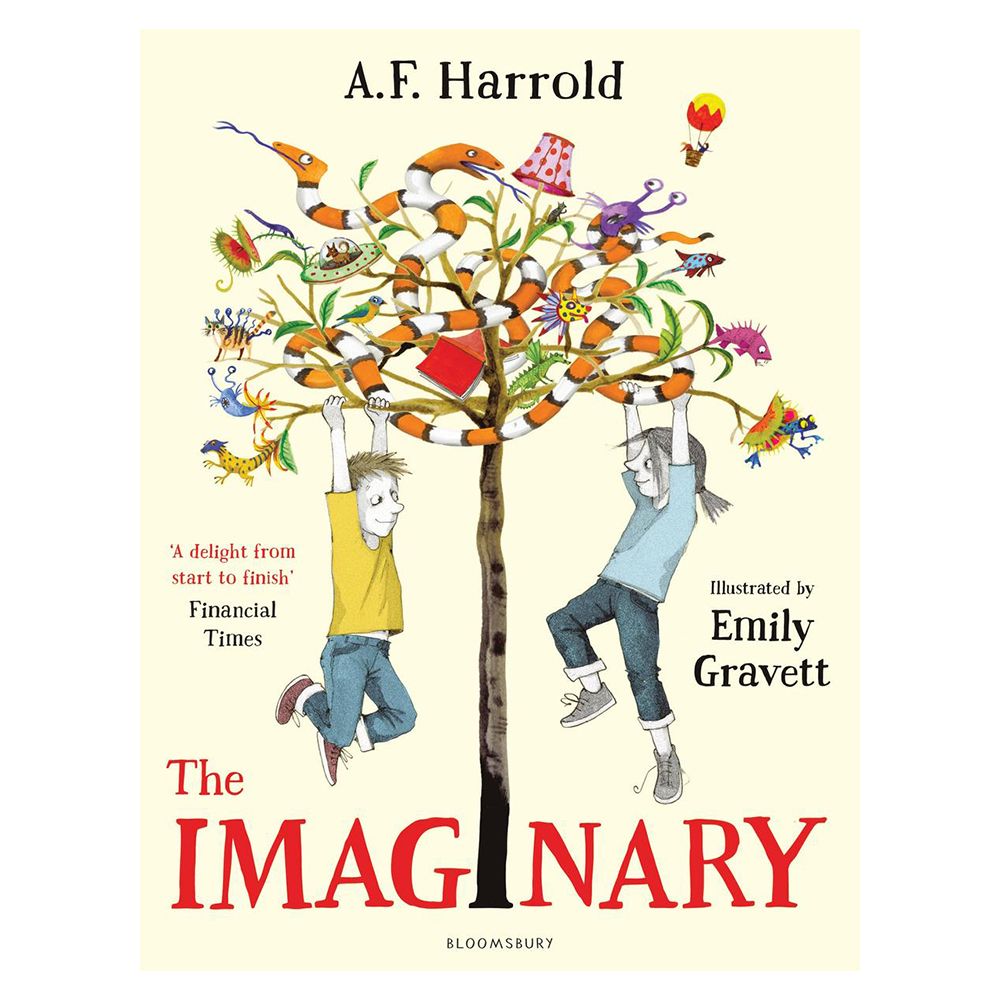 The Imaginary