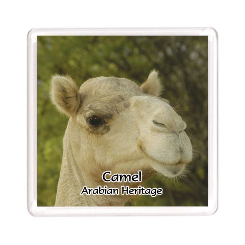 Ajooba - Dubai Souvenir Magnet Camels MG 004