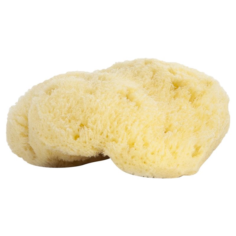 Najel Organic Skincare - Natural Sponge 9-10cm