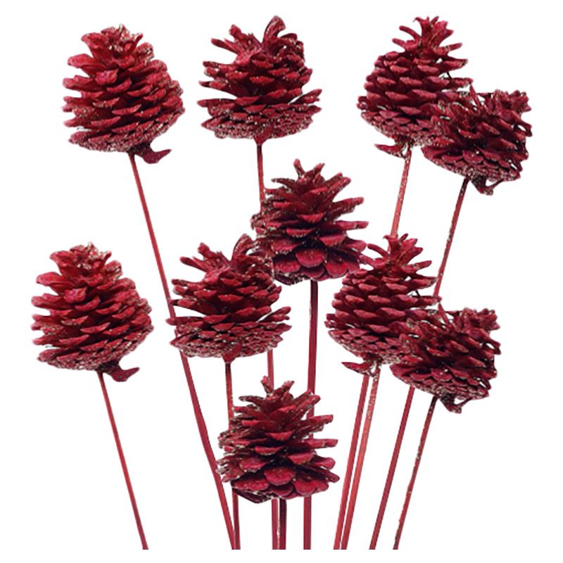 Cherrypick - Eco Dried Pine Cone Sticks - Pack of 6 - Red