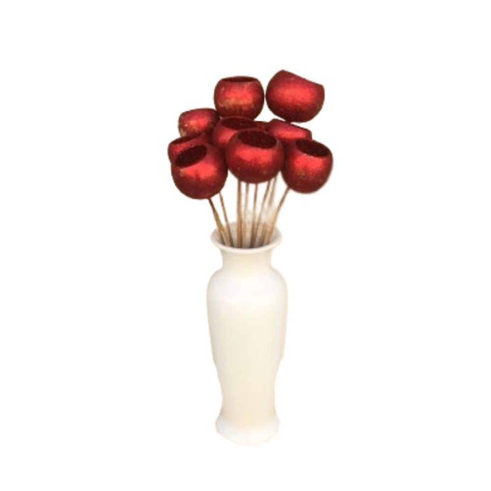 Eco Flowers - Dried Bell Cup Vase Flower Filler - Set Of 6 - Red