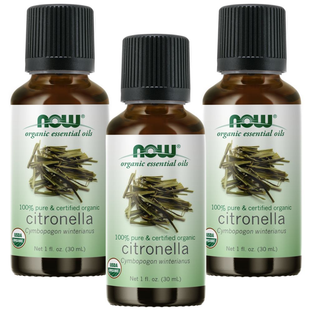 Now Essential Oils Citronella Oil 1 fl. oz. Pack of 3