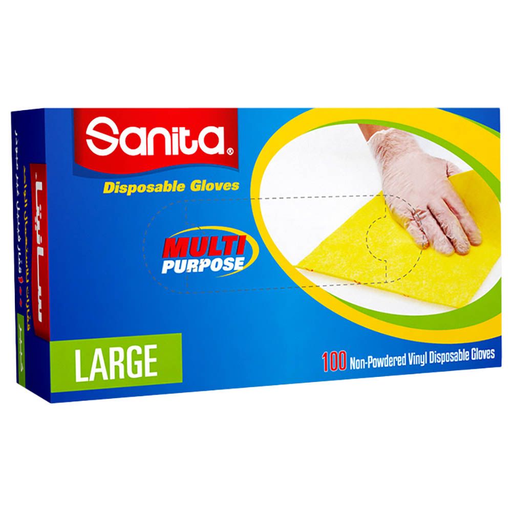 Sanita - Disposable Non-Powdered Gloves Large 100 Gloves