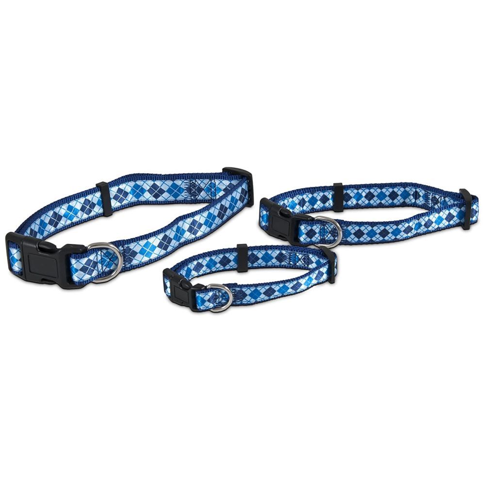 Petmate - Aspen Pet Ribbon Overlay Dog Collar 3/4"X14-20" - Harlequin Blue