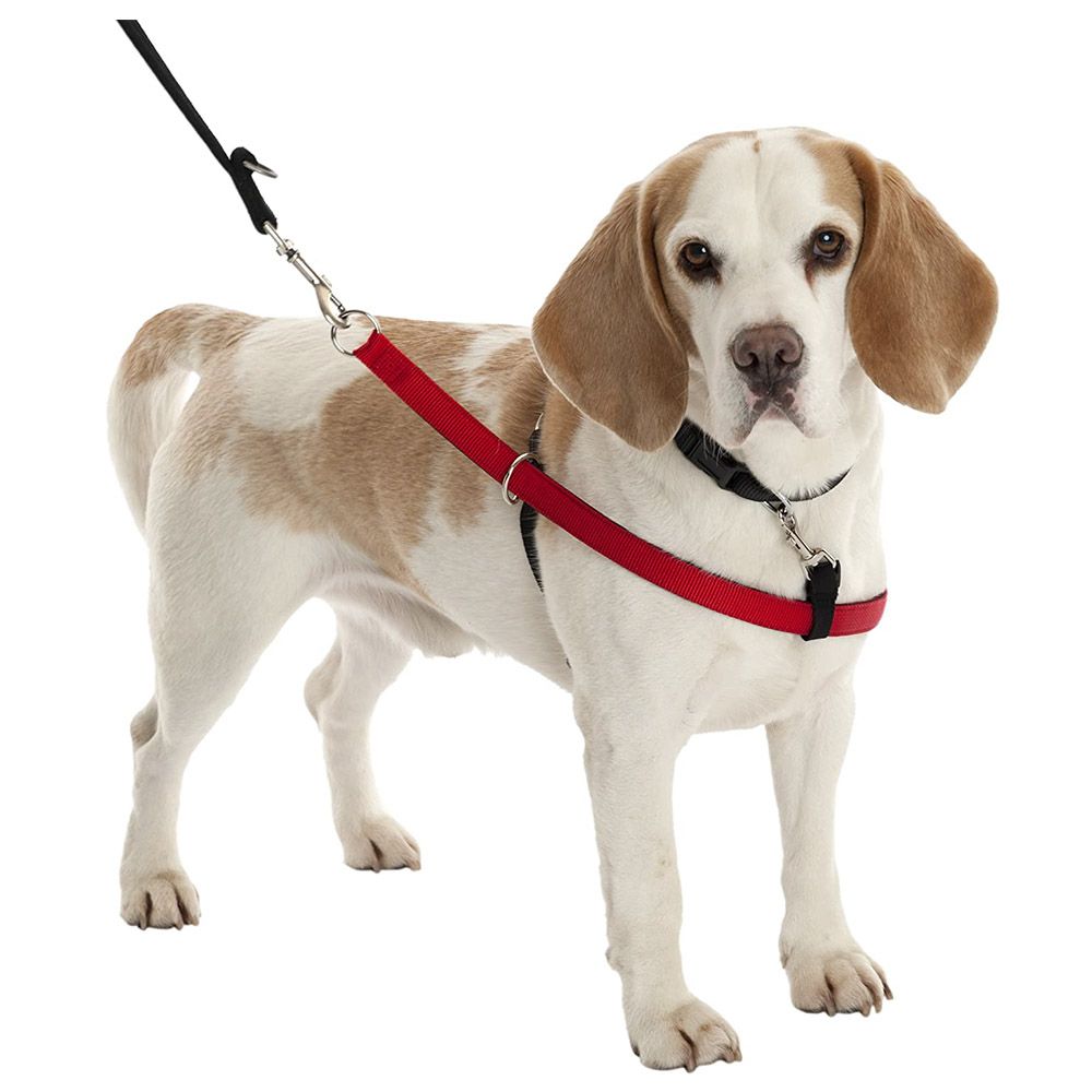 Company of Animals - Walkezee Dog Harness X-Large