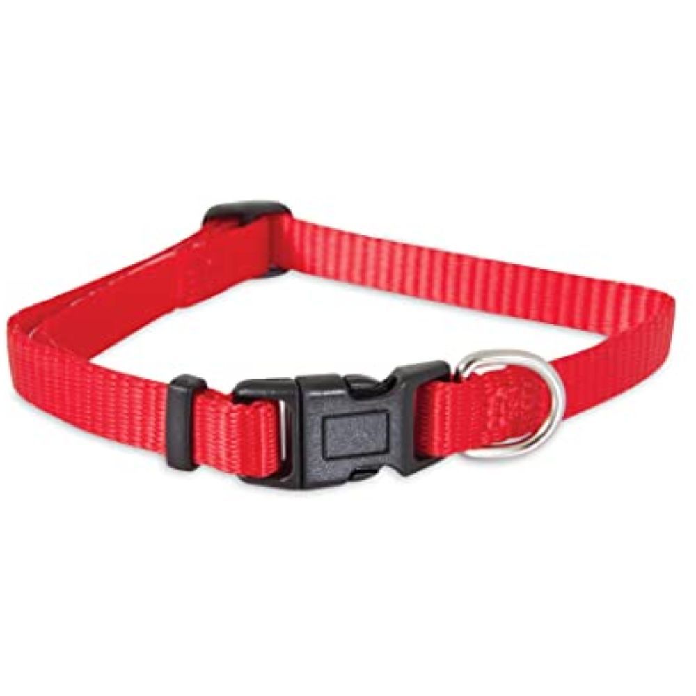 Petmate - Nylon Adjustable Dog Collar 3/8"X8-14" - Red