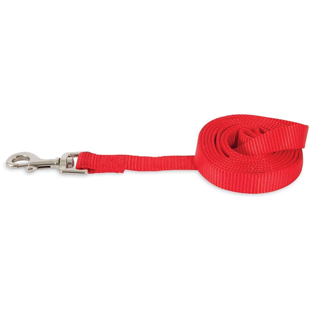 Petmate - Aspen Pet Nylon Dog Lead 3/8" X 5' Red