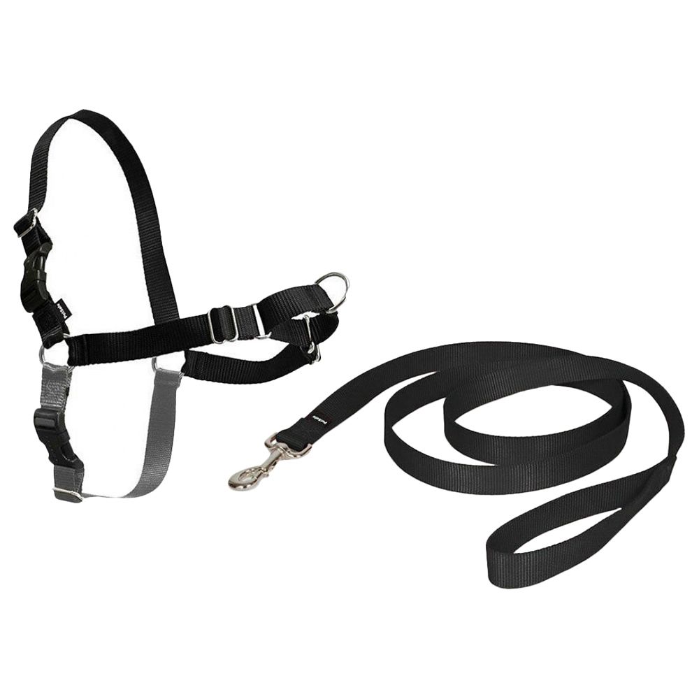 Pet Safe - Easy Walk Harness Small Black Rohs