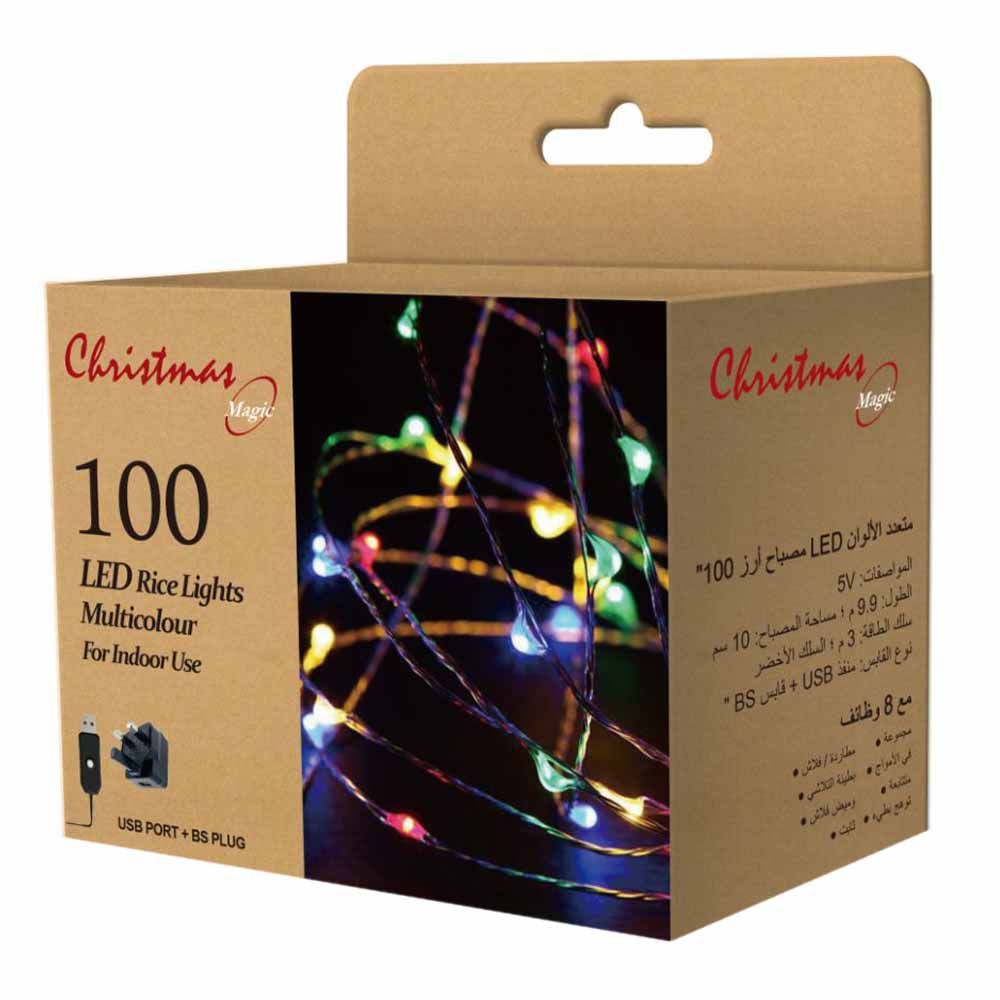 Christmas Magic - 100 Led Rice Lights