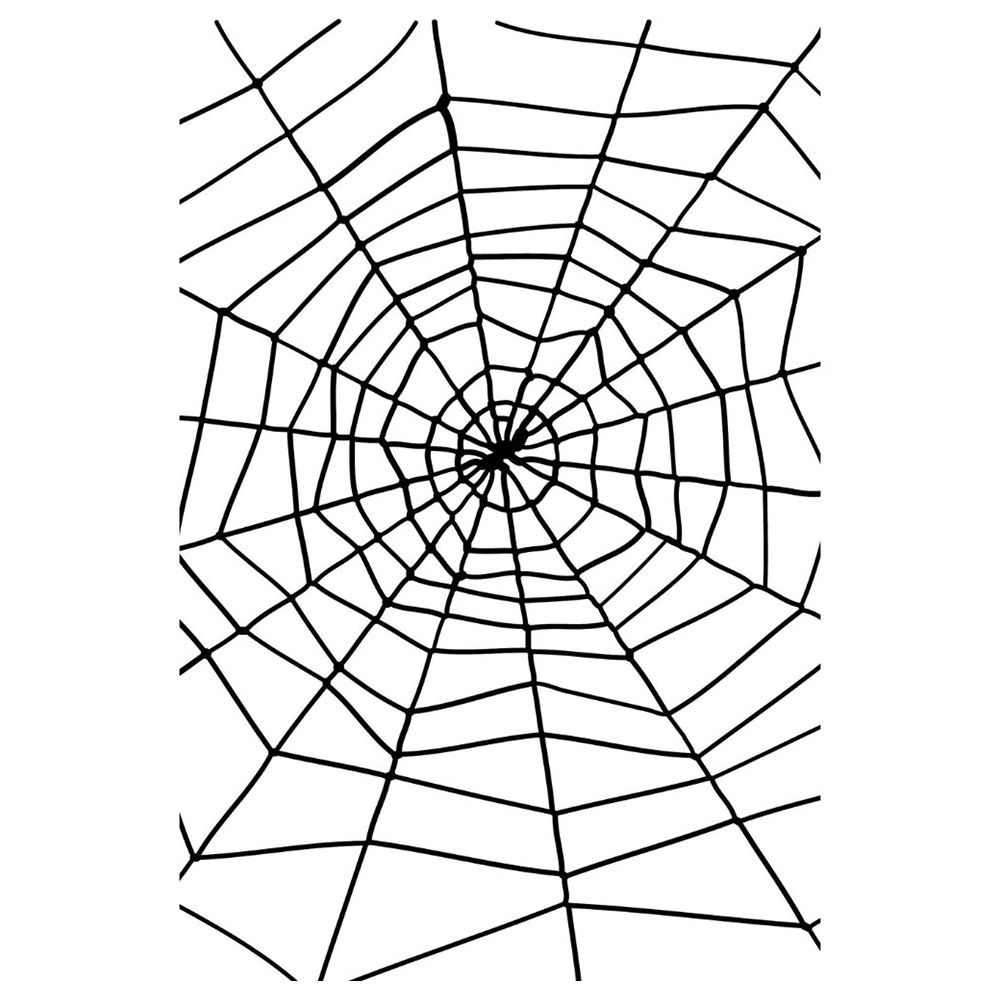 Smiffys - Spider & Spiders Web - Black