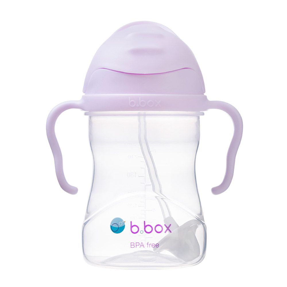 b.box - Sippy Cup - Boysenberry