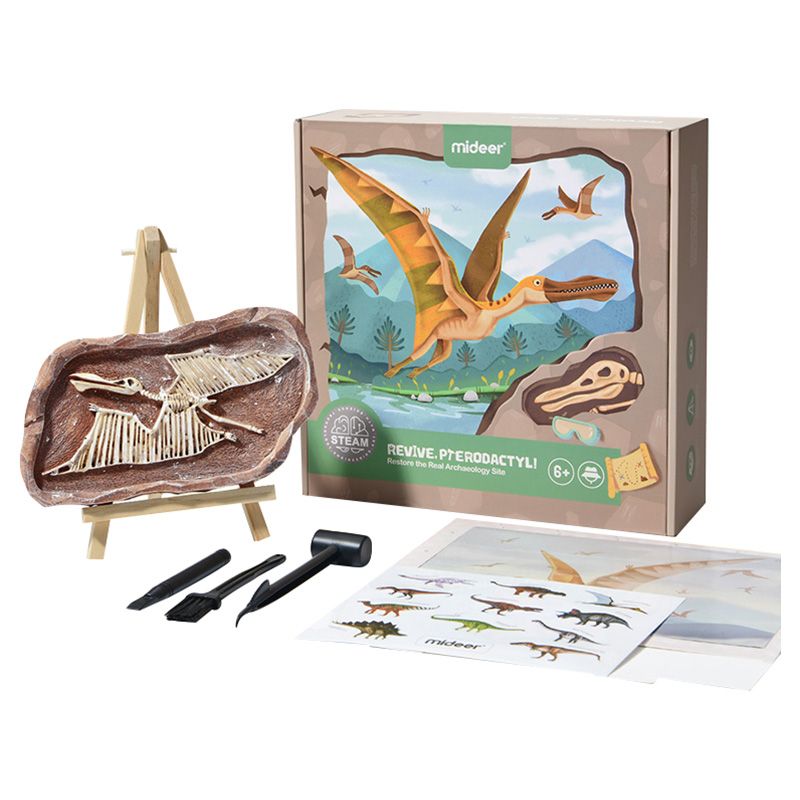 Mideer - Revive A Pterosaur - Dig A Dinosaur Kit