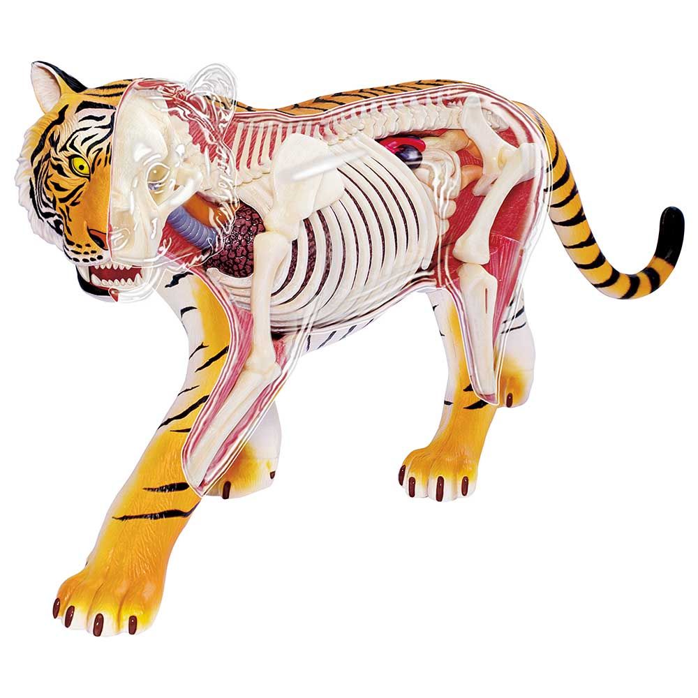 Chap Mei - 4D Vision Animal Tiger - Yellow