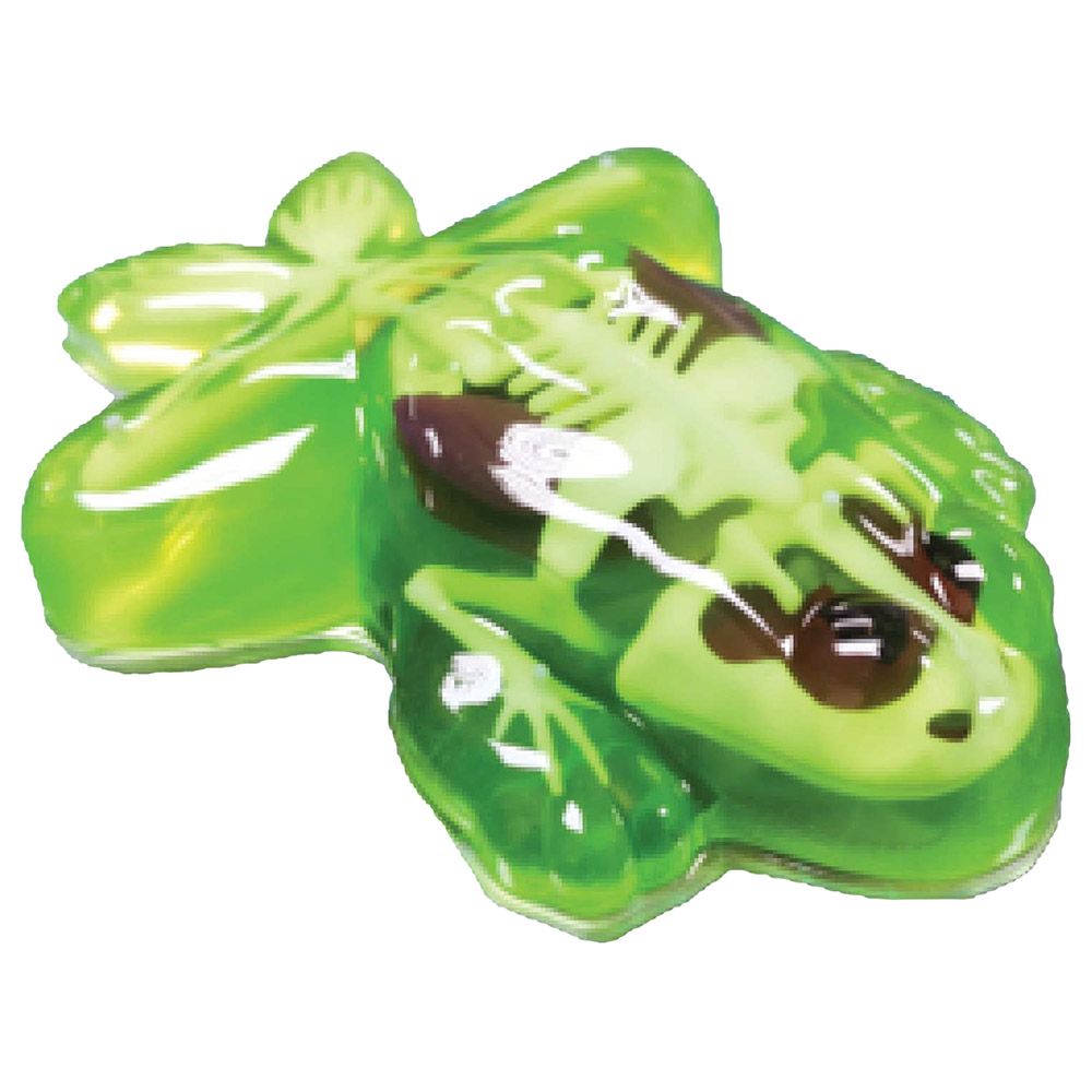 Slimy - Dissect It In Giftbox - Frog - Green